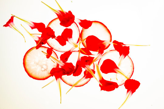 Radish and scattered flowers as an abstract background