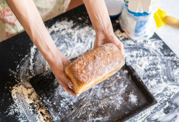 baker's hands cook bread top view and holding fresh cooked loaf.