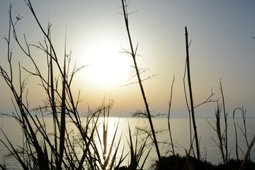 Fototapeta premium sunset over the sea