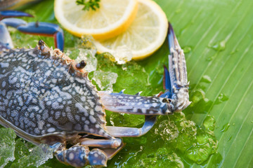 Fresh raw blue swimming crab seafood with ice and lemon on banana leaf background