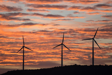 atardecer aerogeneradores