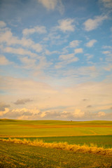 sky and landscape