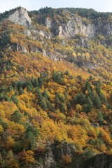 Autumn forest and village photos.savsat/artvin turkey 