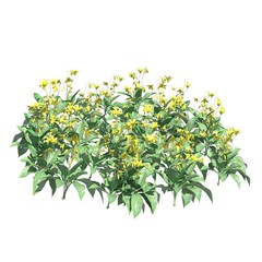 Plants 3d illustration isolated on the white background