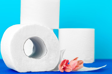 toilet paper rolls with natural flowers close up
