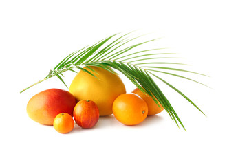 Assortment of tasty exotic fruits on white background