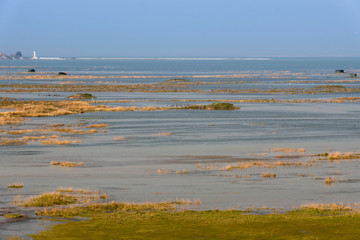 Grandes marées en Baie de Somme