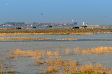 Grandes marées en Baie de Somme