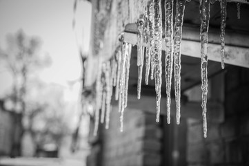 icicles on the edge of the roof in black and white