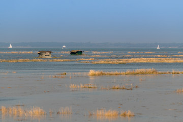Fototapeta na wymiar Grandes marées en Baie de Somme