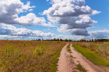 Fototapeta na wymiar a dirt road through the field with sunny and cloudy sky