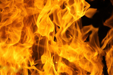 Fire flame texture background.
