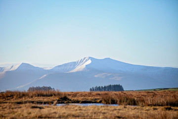 Snowy beacons.