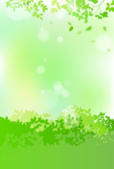 Fototapeta premium fresh green and sunbeams leaves background material