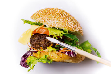brush draws sandwich on white background