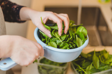 The cook adds ripe juicy spinach in a bowl with salad - healthy food
