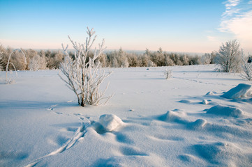 frosty day on the top of the mountain