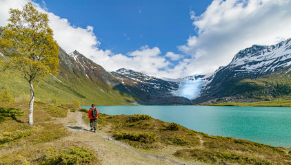 senior woman hike along north Fjord in front of Svartisen glacier, northern Norway, Scandinavia