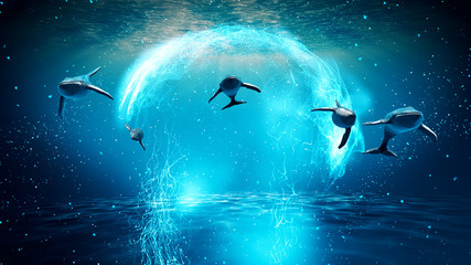 Whales traveling in blue water near surface © UFT