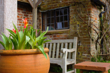 Flower pot in front of a rural clergy house in England.