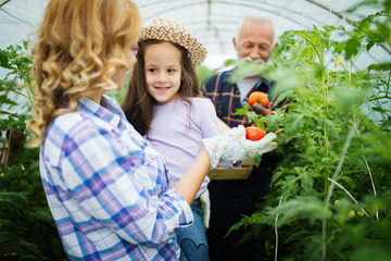 Grandfather growing organic vegetables with grandchildren and family at farm