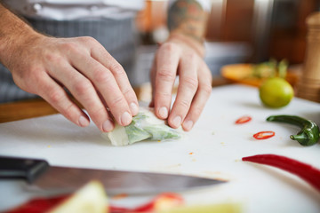 Close up of professional chef making vegetable rolls while cooking in restaurant kitchen, copy space