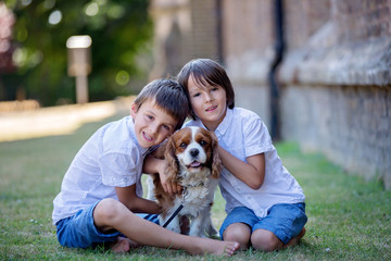 Beaugtiful preschool children, playing with sweet dog in the park