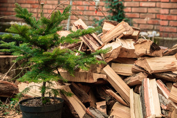 cleaver on the bunch of chopped firewoods