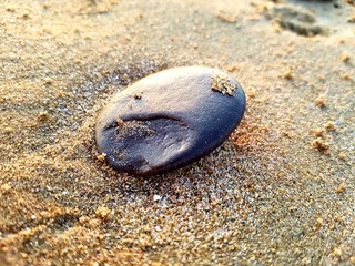 Fototapeta na wymiar Dark stone over the sand
