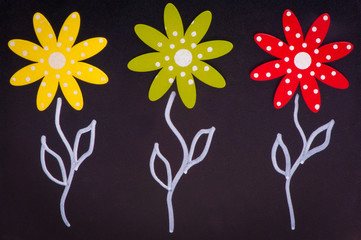 Spring - three flowers on chalkboard - wood material - black backgroung
