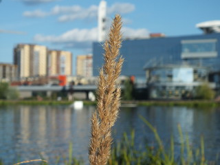 The spike on the building background.