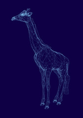 Polygonal giraffe made from blue lines on a dark background. 3D giraffe wireframe. Vector illustration