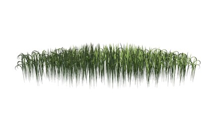 Fantasy Grass area - isolated on white background