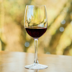 Wine glass