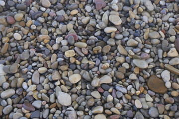 Piedras húmedas variadas en la playa