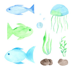  watercolor set of blue, green fish, jellyfish, stones, algae on a white background