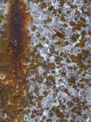 Texture of old reinforced concrete surface with rust and moss. Armored concrete column