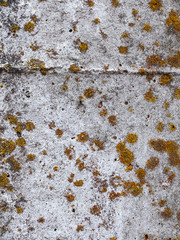 Texture of old reinforced concrete surface with rust and moss. Armored concrete column