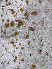 Texture of old reinforced concrete surface with rust and moss. Armored concrete column