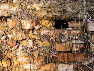 Photo of old ruined brick wall texture overgrown with plants