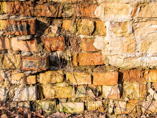 Photo of old ruined brick wall texture overgrown with plants
