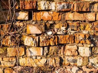 Photo of old ruined brick wall texture overgrown with plants