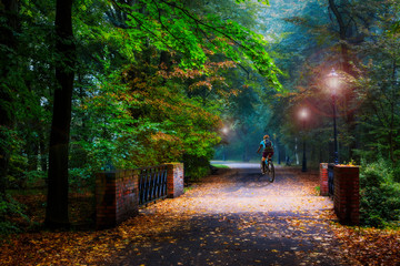 Cycling in golden shine trail foggy scene in the park, woman riding on bike the morning sun shining through the trees, blue sky in background.