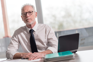 Portrait of mature businessman