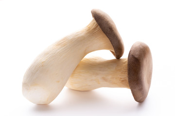 King oyster mushroom on white background.