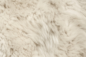 Texture of fur hair background