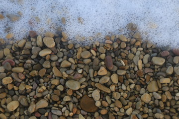Piedras húmedas variadas en la playa
