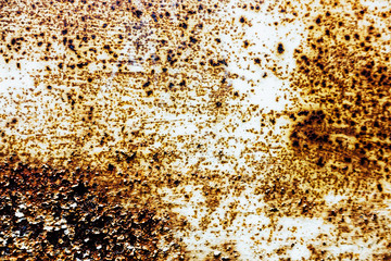 large Rust backgrounds perfect background with space for text or image