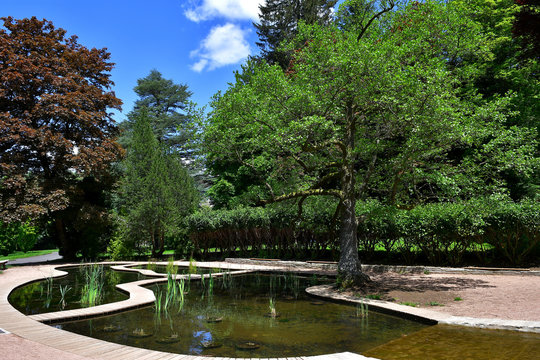 Petit &eacute;tang artificiel du parc Fenestre &agrave; La Bourboule ( Puy de D&ocirc;me )