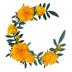 Obraz premium Yellow with orange flower marigold. Wreath. Vector illustration. Isolated on a white background.